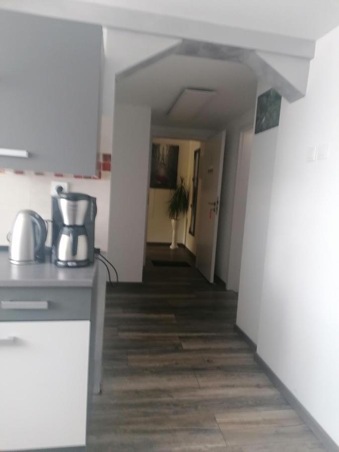Ferienwohnung Andreea Saarlouis Exteriér fotografie